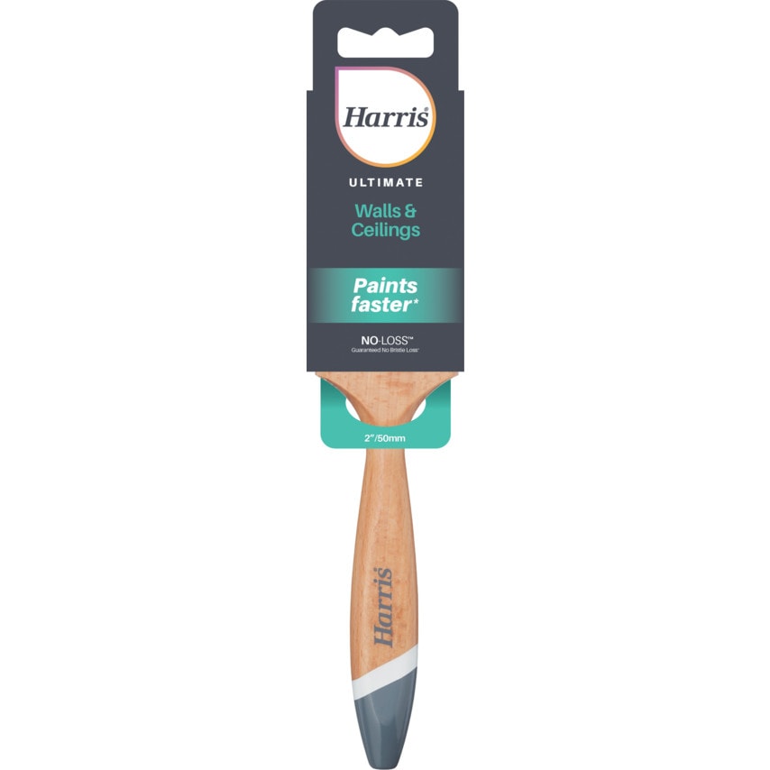 Paint Brush, Flat, 50mm, for Walls & Ceilings