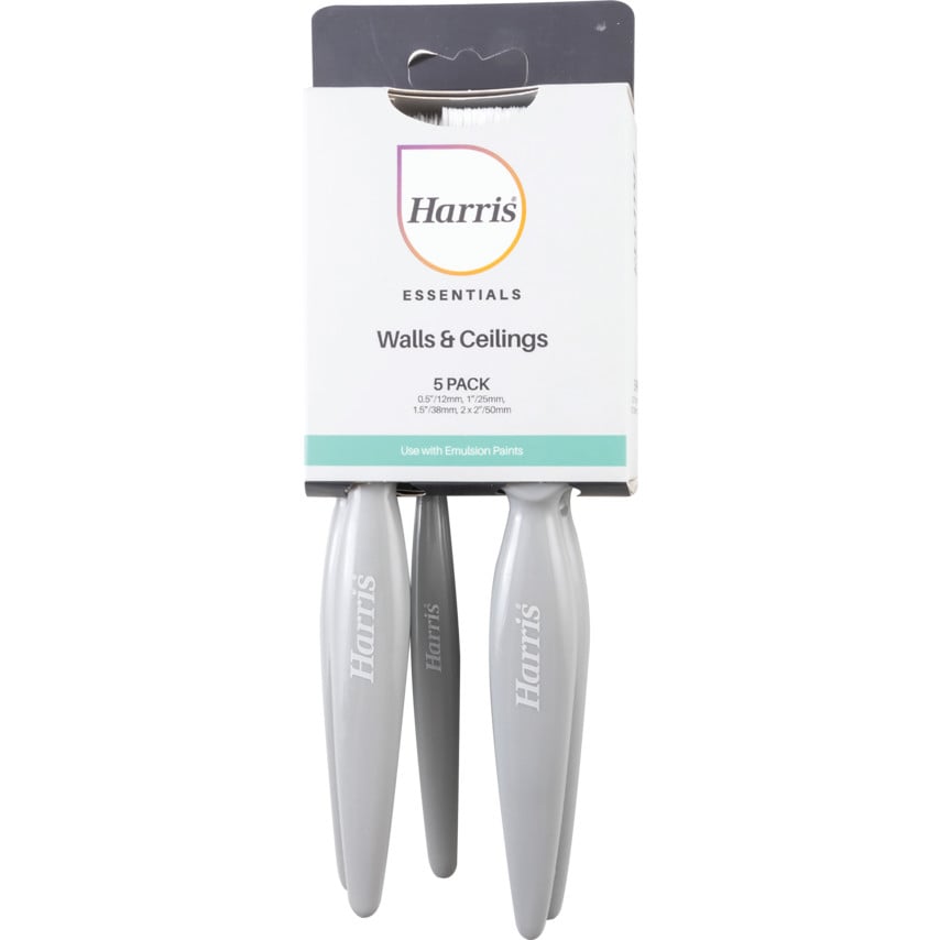 Paint Brush Set, Flat, for Emulsion, Pack of 5