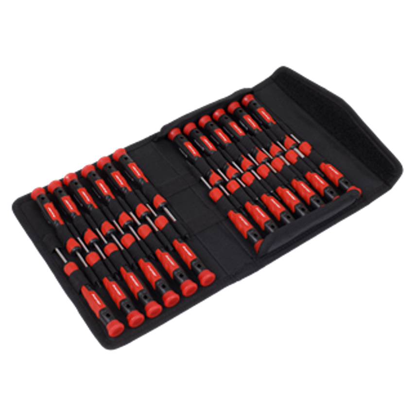 Precision Screwdriver Set 25pc - AK97327