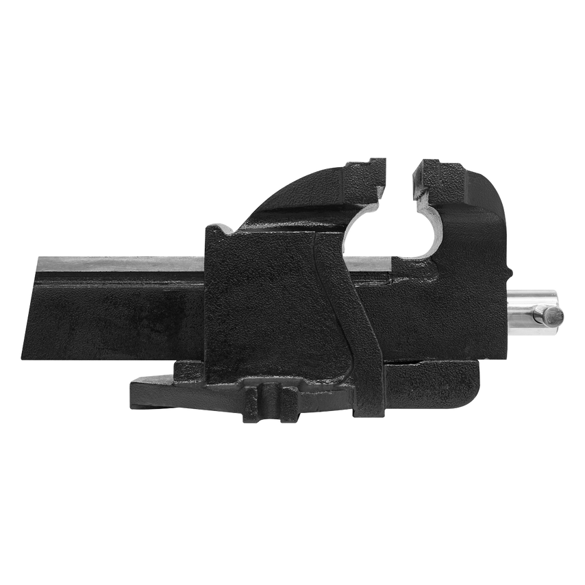 Professional Mechanic's Vice 200mm SG Iron