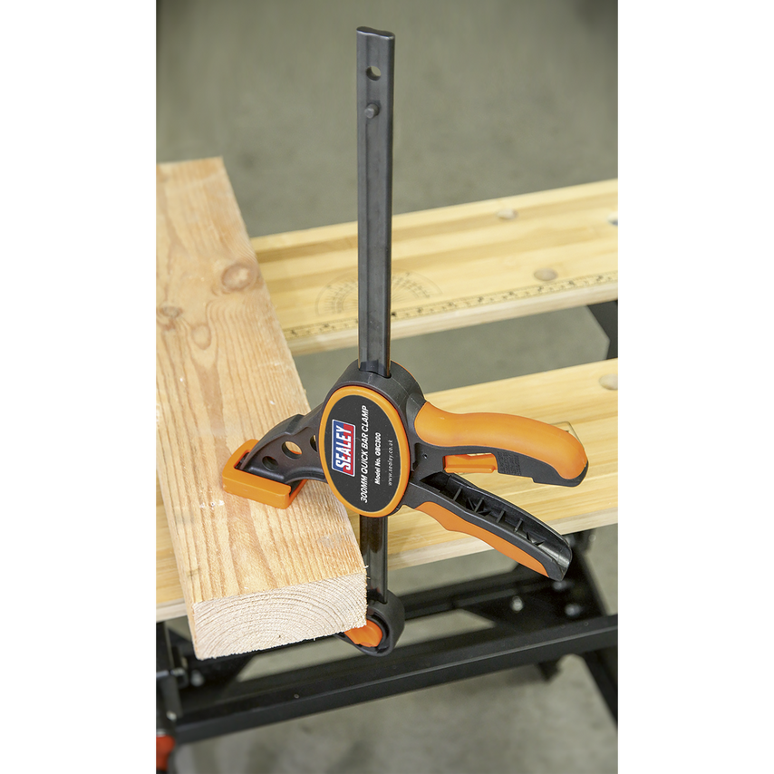 QBC300 Quick Bar Clamp 300mm
