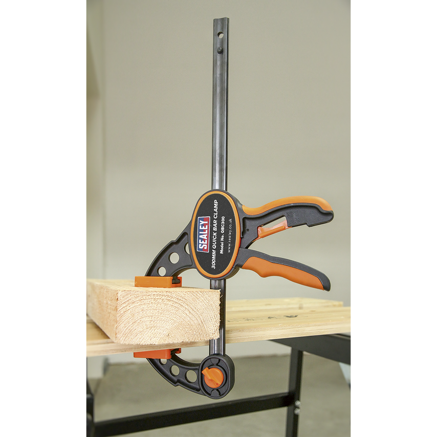 QBC300 Quick Bar Clamp 300mm