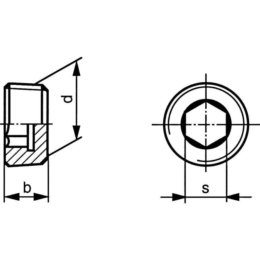 R1.1/4 Socket Pipe Plug DIN906 (bspt) Thread