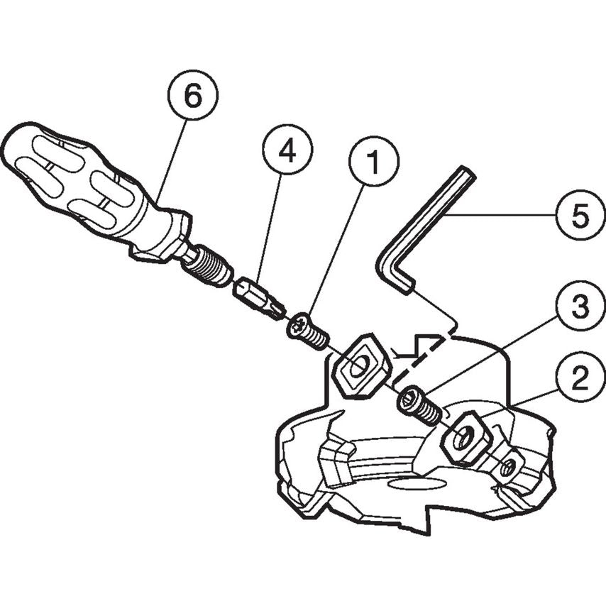 RA245-125J38.1-12L Face Mill