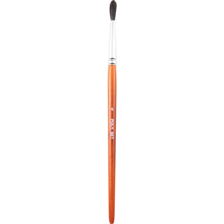 Round Artist Brush, Hair Bristle, No.6