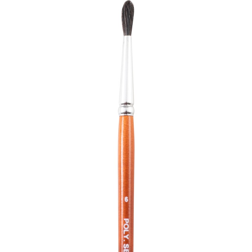 Round Artist Brush, Hair Bristle, No.6