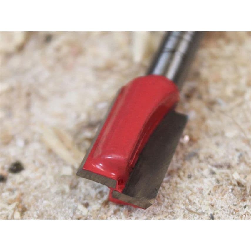 Router Bit TCT Two Flute 12.0 x 19mm 1/4in Shank FAIRB26