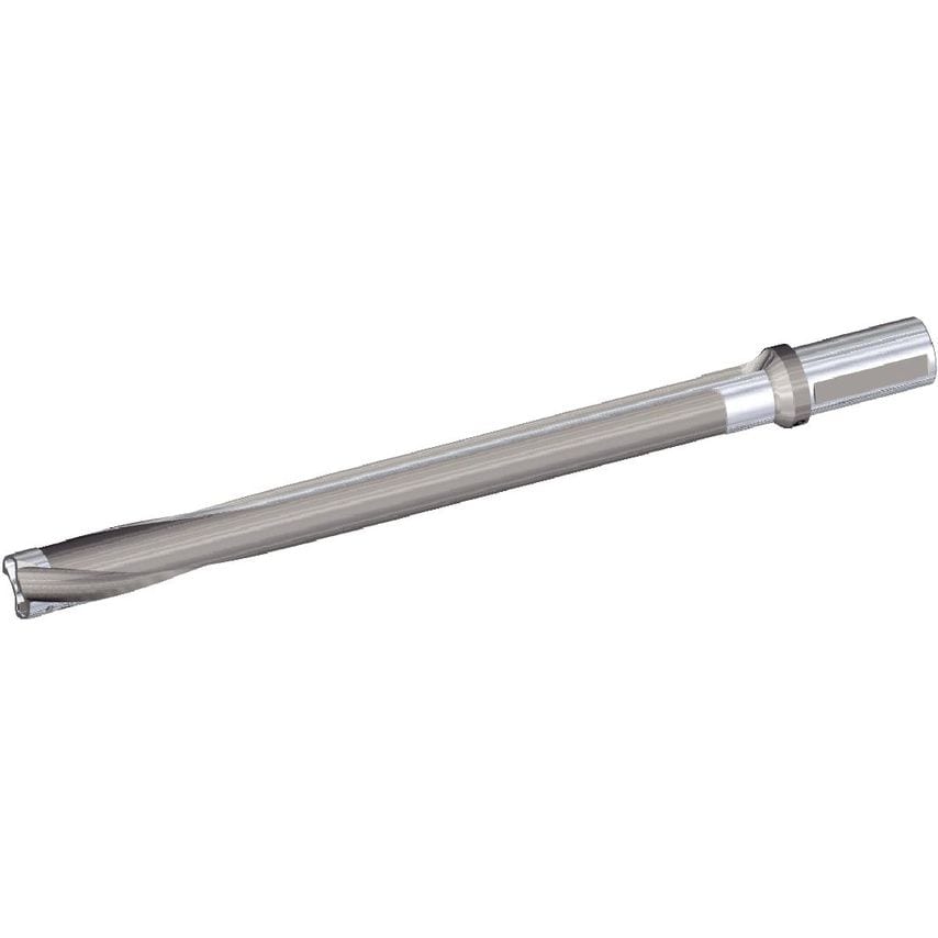SSF200FDS401933 Kplus Shank 10 x D NG=40mm