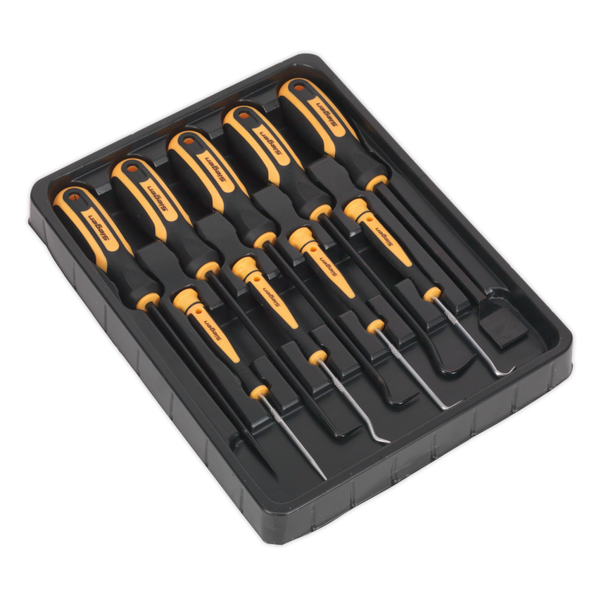 Scraper & Hook Set 9 Piece