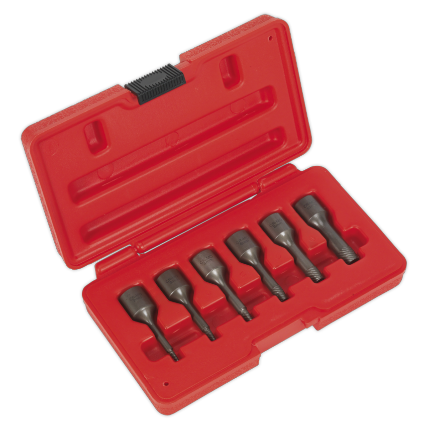 Screw Extractor Set6 Piece 3/8" Square Drive