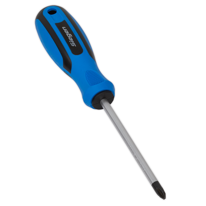 Screwdriver Phillips #2 x 100mm