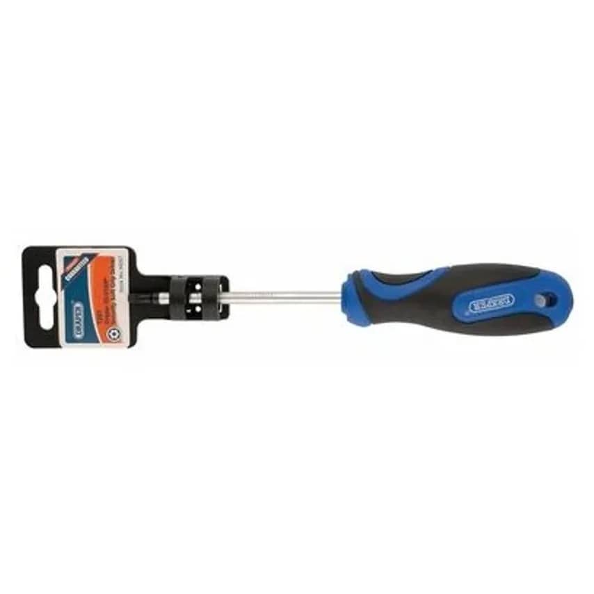 Screwdriver TX Tamperproof Display Packed T25 x 100mm