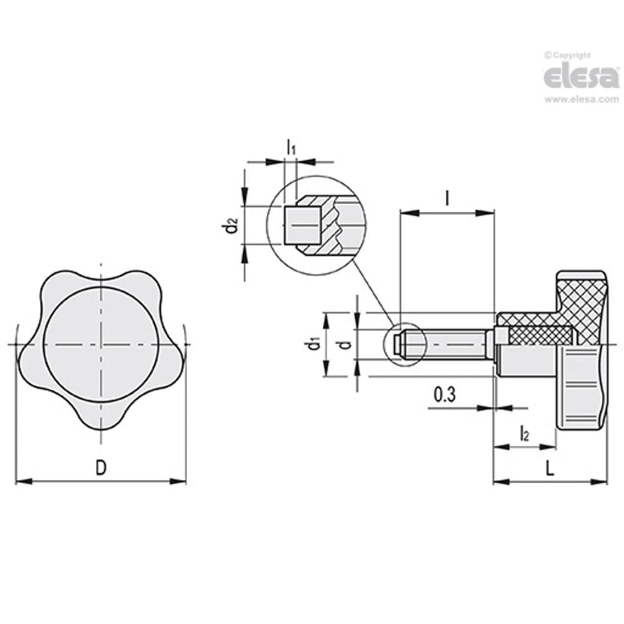Solid lobe knob-VC.692/32-SST-p-M6x30-PO