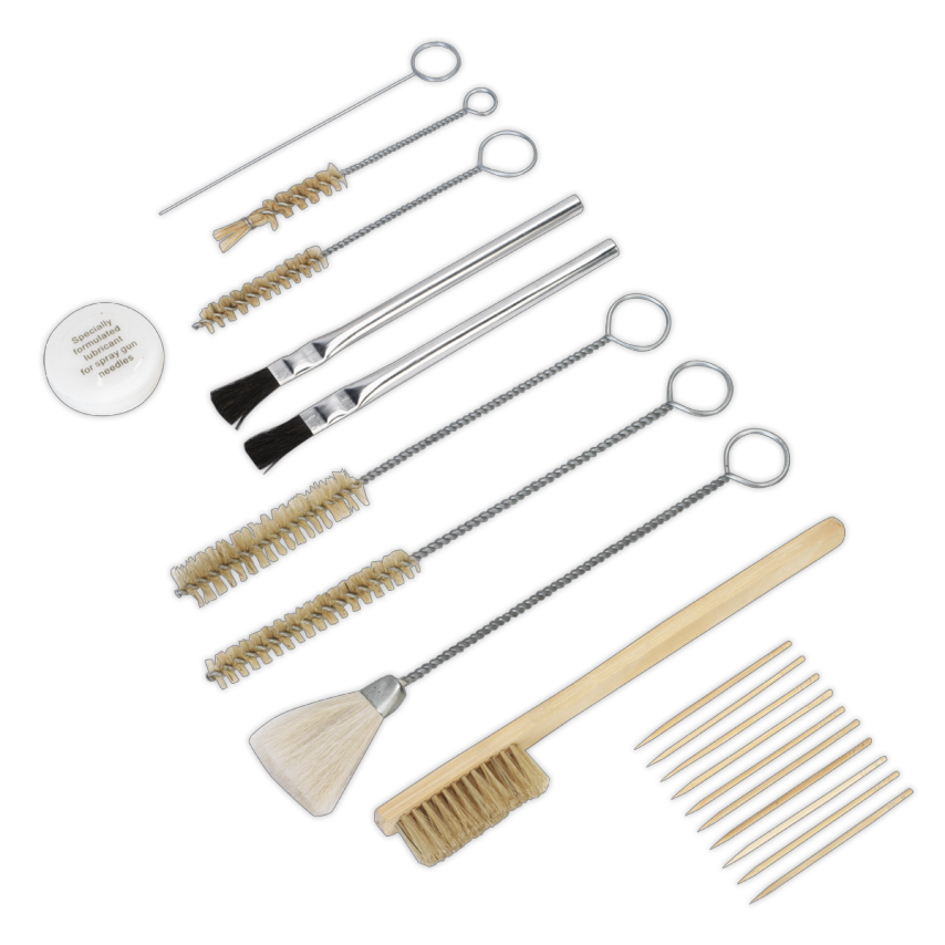 Spray Gun Cleaning Set 20 Piece