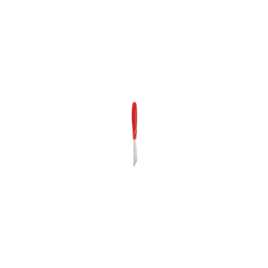 Stainless Steel Hand Scraper 100mm Red