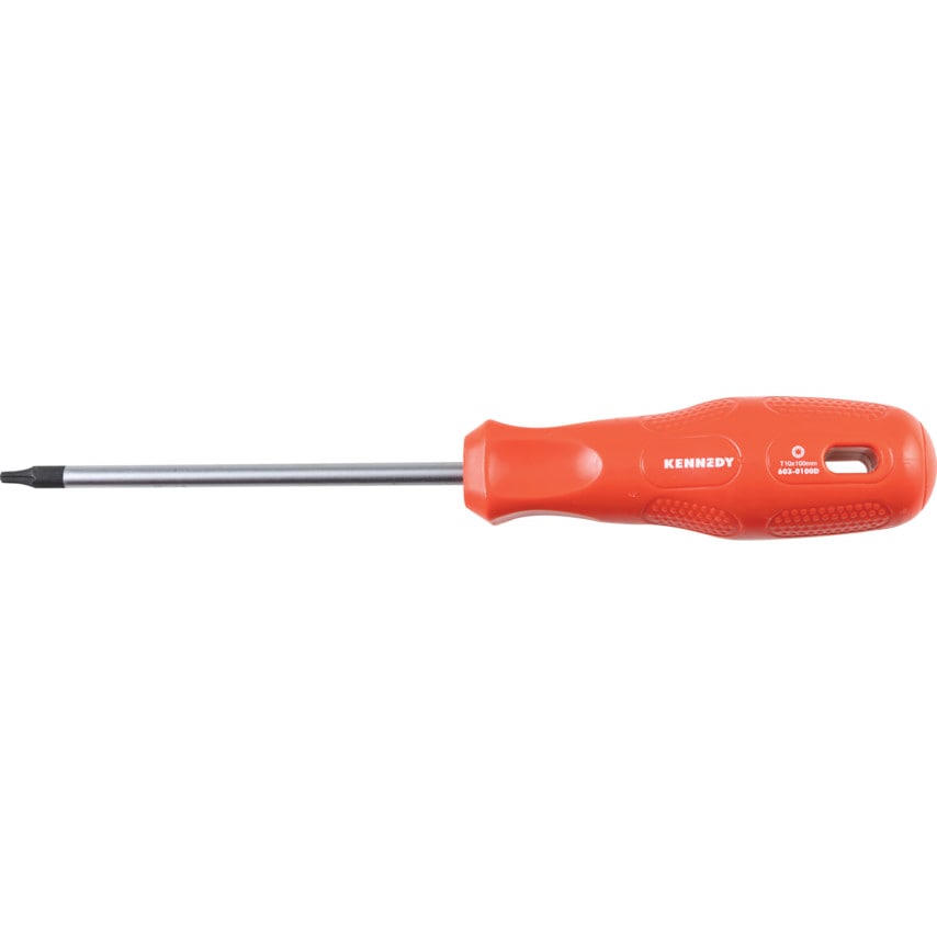 T10 TORX Driver