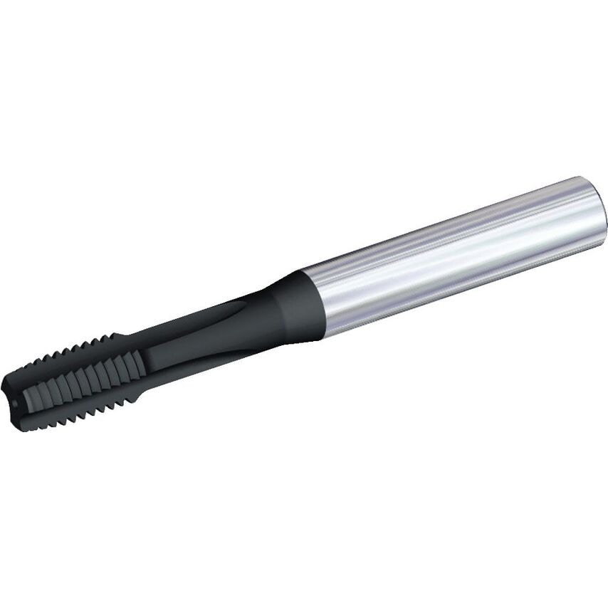 T461M060X100R6HX M6X1 6HX 3F STFL Plug CH KC751