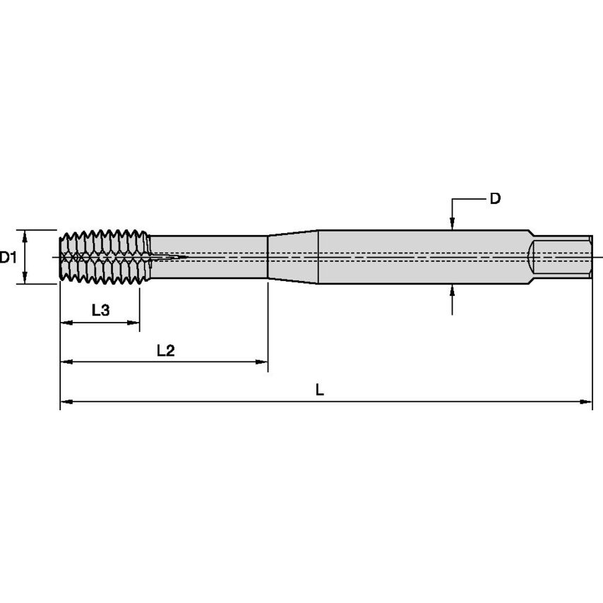 T491M060X100R6HX-D74 M6X1 6HX FT Bott E 2174 CH Car