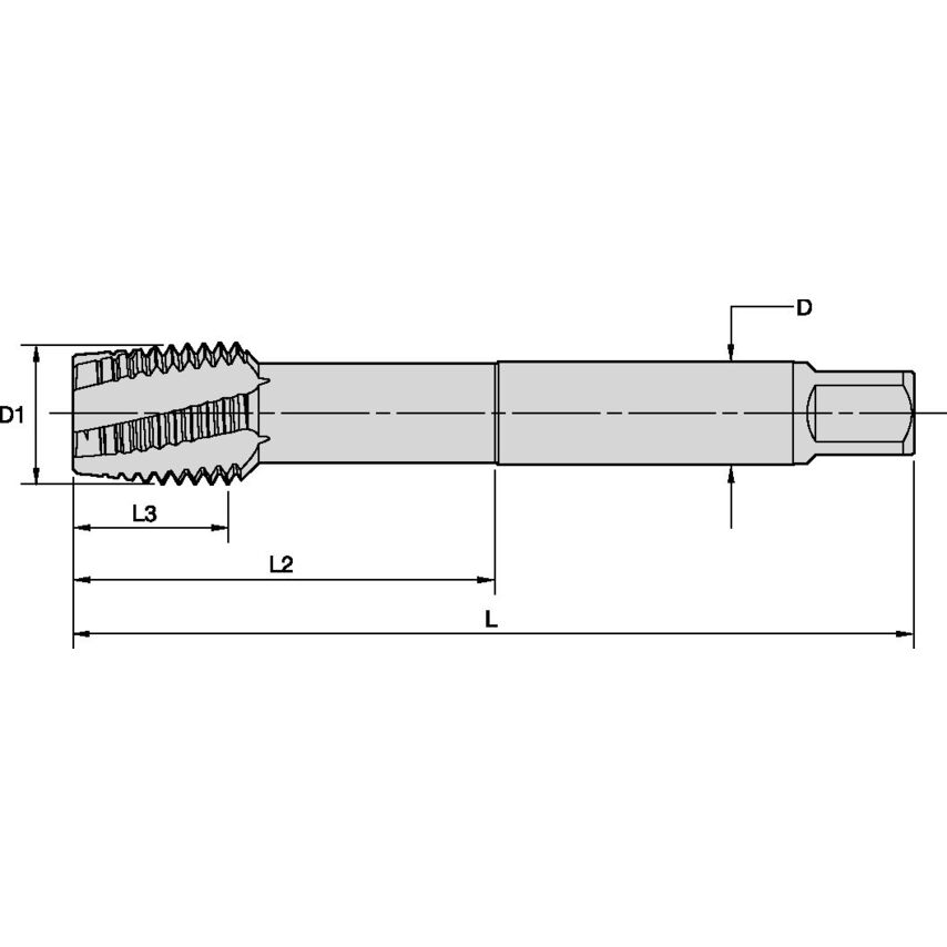 T620M160X200R6HX-D6 M16X2 6HX LHSF Plug 376 Hss-e-