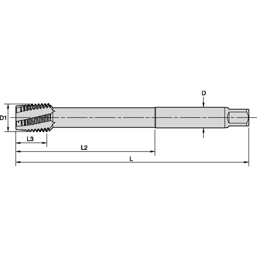 T620M300X350R6H-XL M30X3.5 6HX LHSF PLG X-LNG Hss
