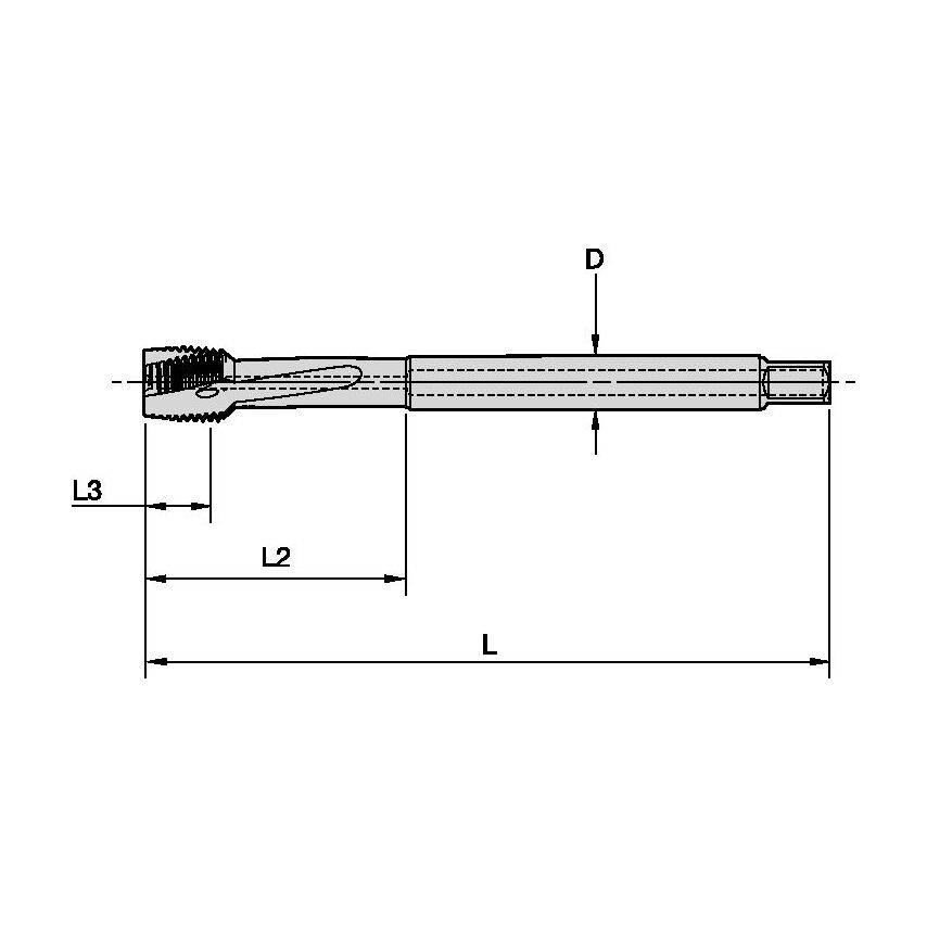 T621M180X250R6HX-D6 M18X2.5 6HX LHSF D 376 CH Hss-