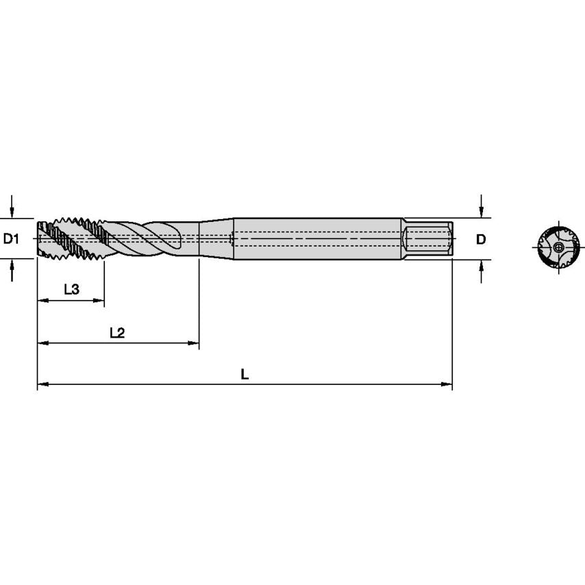 T631NC03125-18R3BX-D1 5/16-18 3BX RHSF SBOTT CH DIN