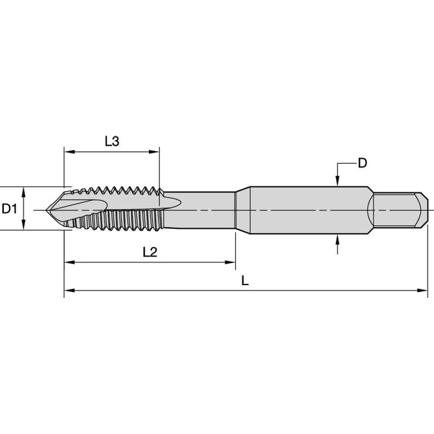 T820M035X060RD4-A M3, 5X0, 6 D4 2F SP Plug HSS-E O
