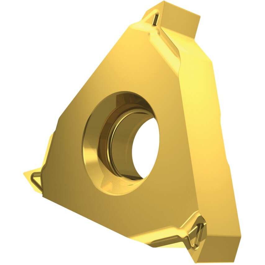 TN 16ERA60-P1 T8030 Thread Insert Partial Profile