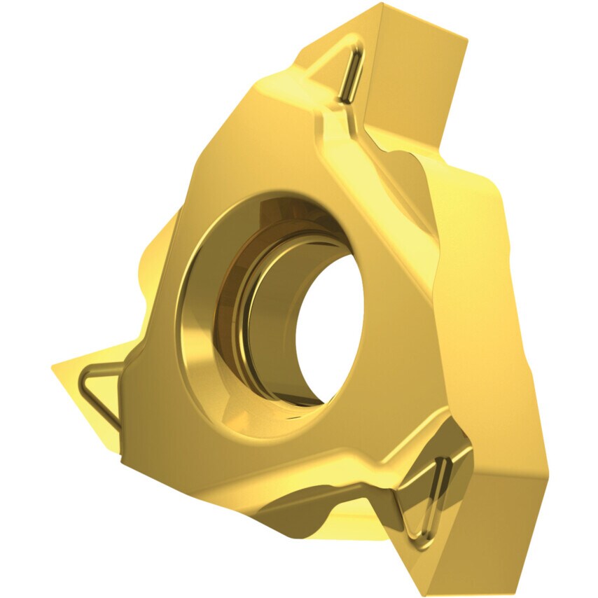 TN 16ERAG60-P1 T8030 Thread Insert Partial Profile