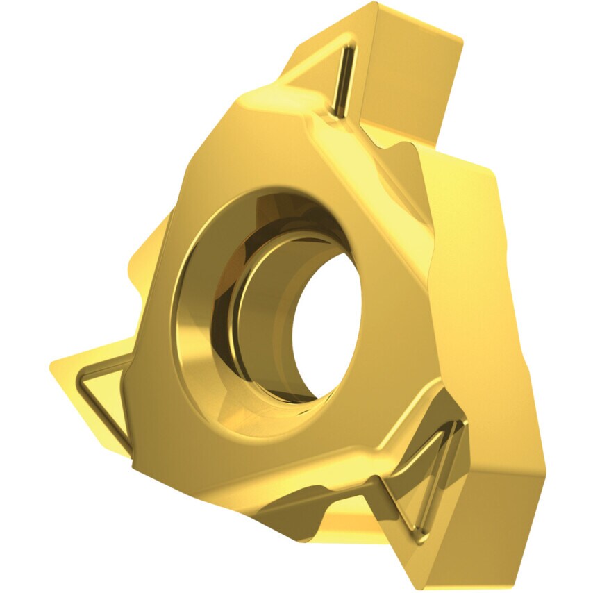 TN 16ERG60-P1 T8030 Thread Insert Partial Profile