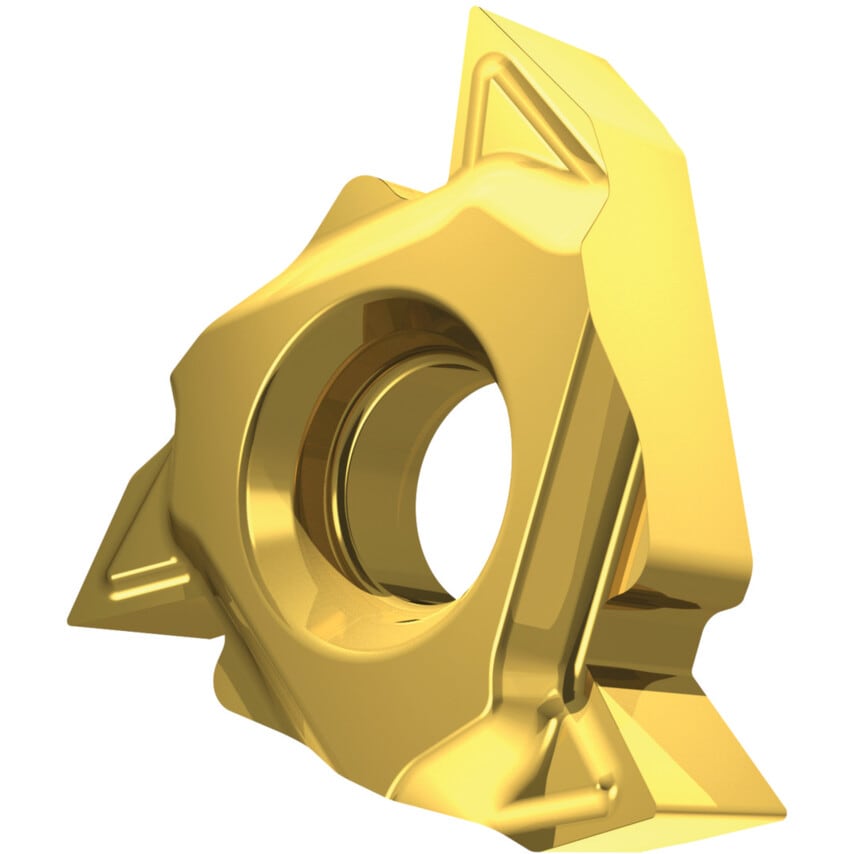 TN 16NRG60-P1 T8030 Thread Insert Partial Profile