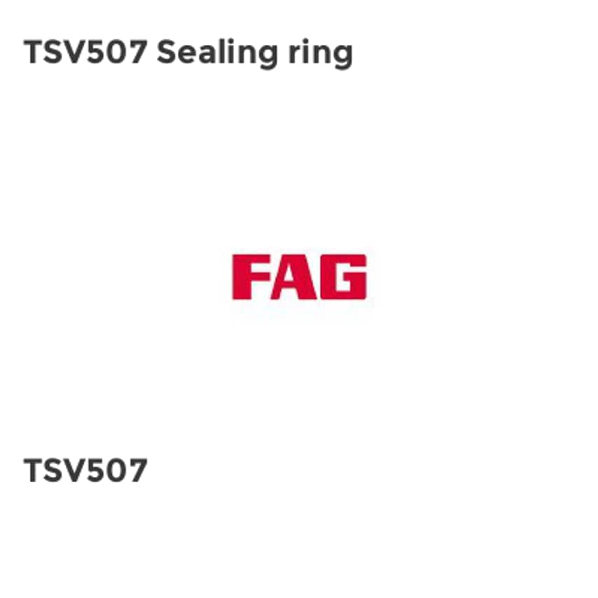 TSV507 Sealing Ring - TSV507 FAG