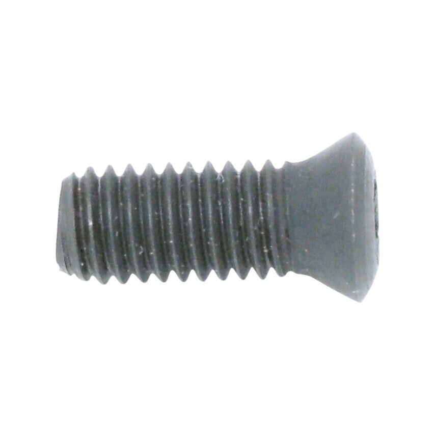 TT409 Insert Screw