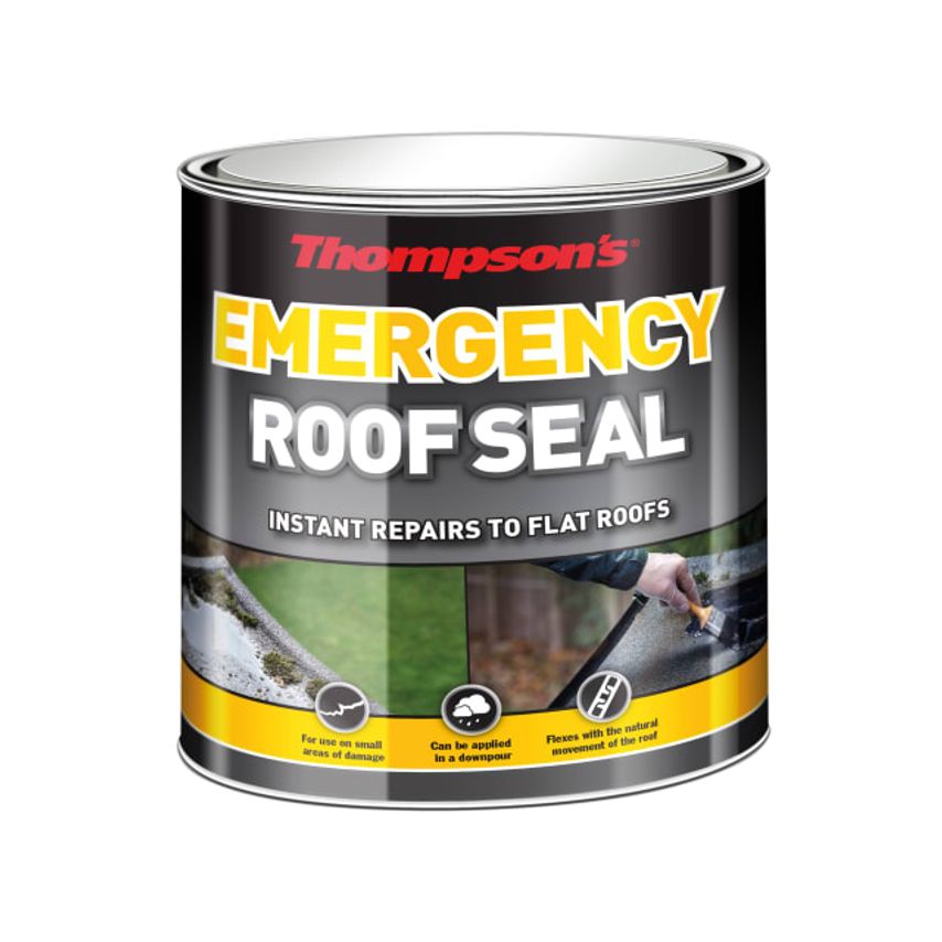 Thompson's Emergency Roof Seal 2.5 litre