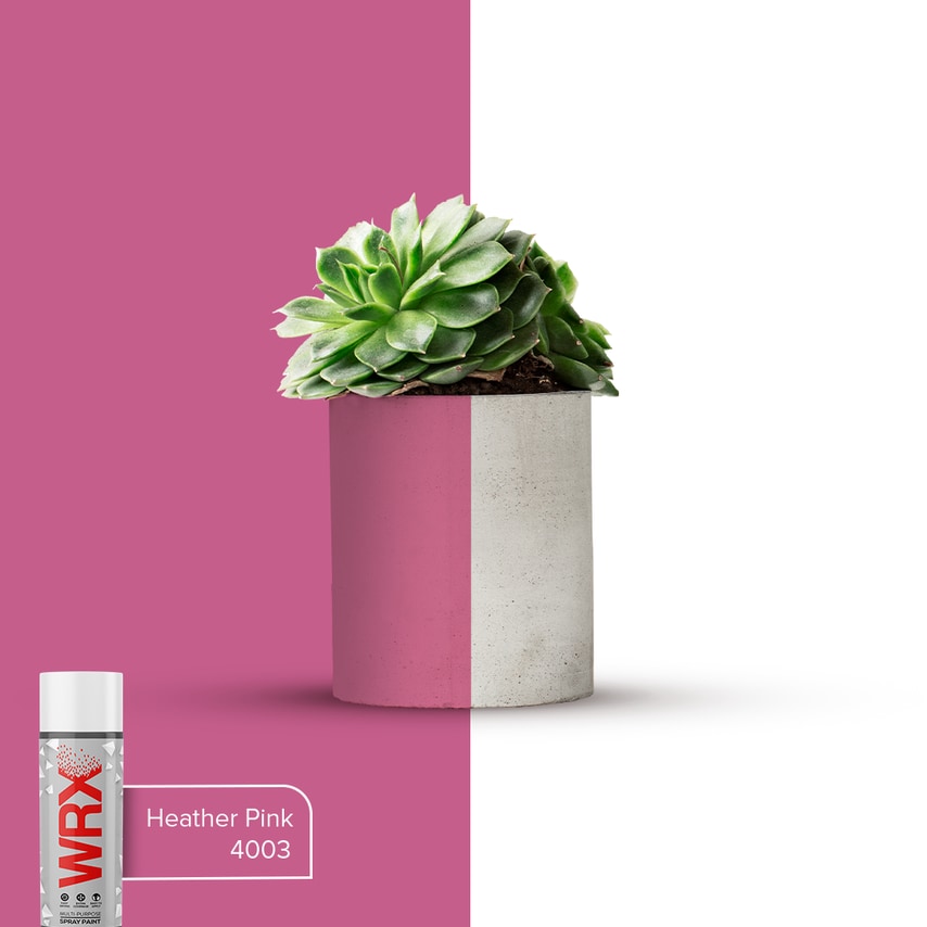 Trade Heather Pink Spray Paint- R4003