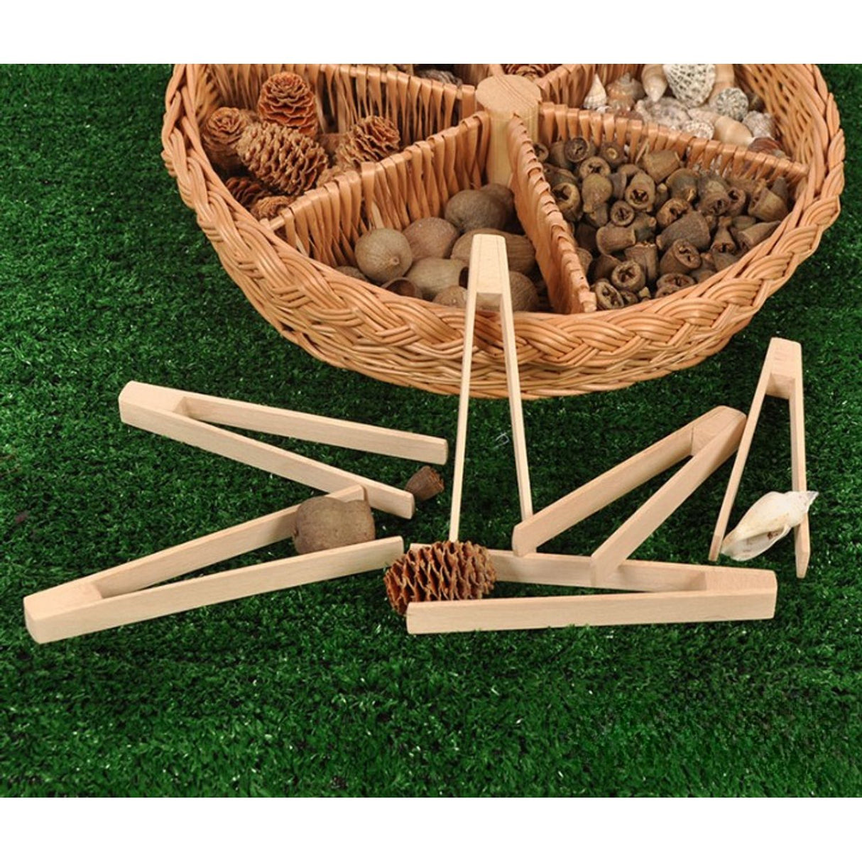 Wooden Tweezers (Pack of 6)